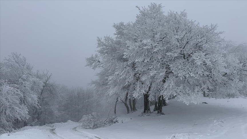Ganos Dağı eteklerinde karla kaplanan ormanlar güzel görüntü oluşturdu