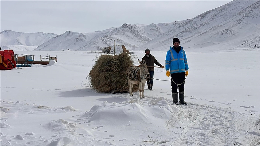 Van'da kar ve soğuk havada besicilerin zorlu mesaisi sürüyor