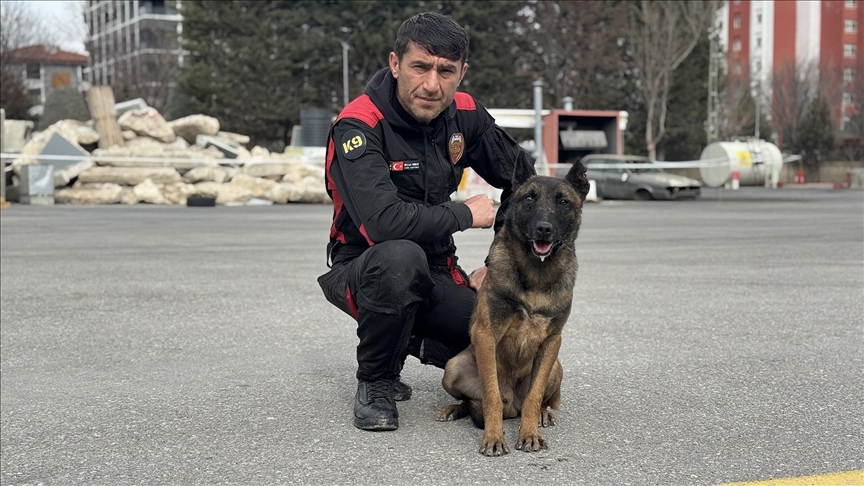 Ölen arama kurtarma köpeği Gece'nin görevi "Vondi"ye emanet