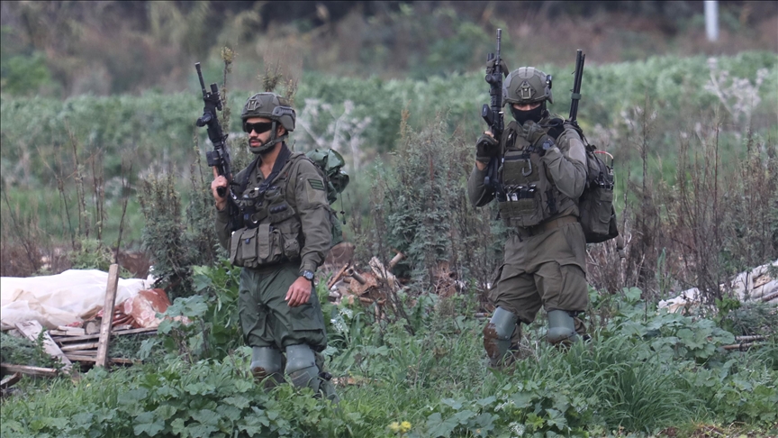 الجيش الإسرائيلي يقتلع 200 شجرة عنب معمرة جنوبي الضفة الغربية