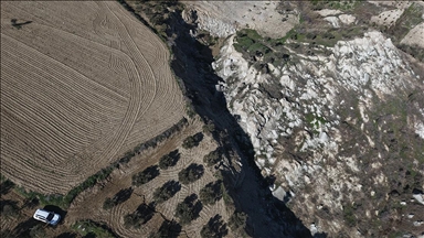 Hatay'da 400 metrelik fay yarığı oluşan zeytinlikte "toprak kayması" sürebilir uyarısı