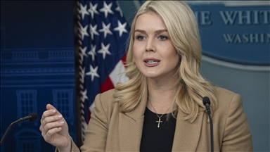 White House walks back Trump appeal to 'nationalize' polls