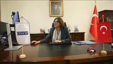 Türkiye'nin AGİT Daimi Temsilcisi Kızıltan, AA'nın "Yılın Kareleri" oylamasına katıldı