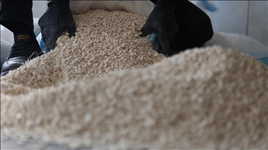 Algérie : Mise en échec d'écoulement de près de 4,3 millions de comprimés psychotropes