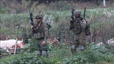 الجيش الإسرائيلي يقتلع 200 شجرة عنب معمرة جنوبي الضفة الغربية