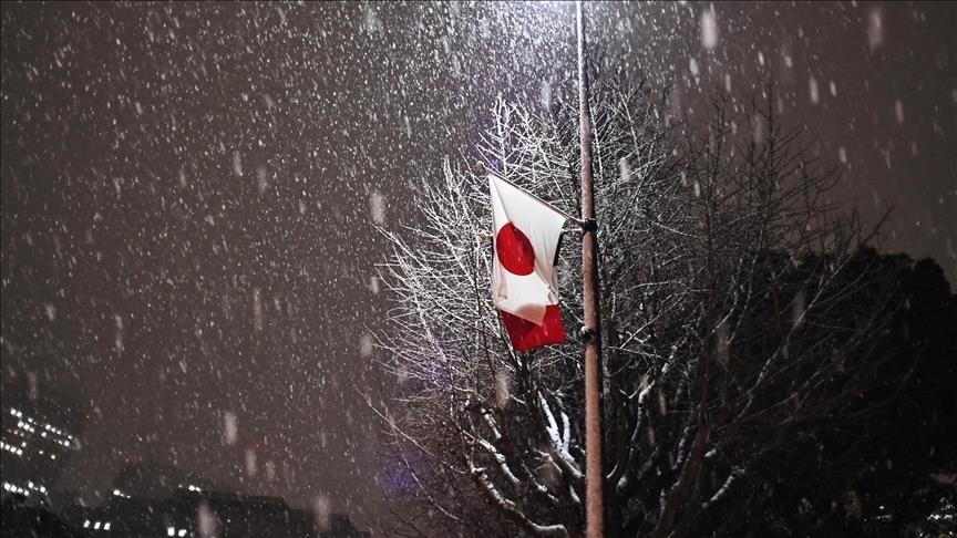 В Японии из-за суровой зимы и сильных снегопадов погибли 35 человек