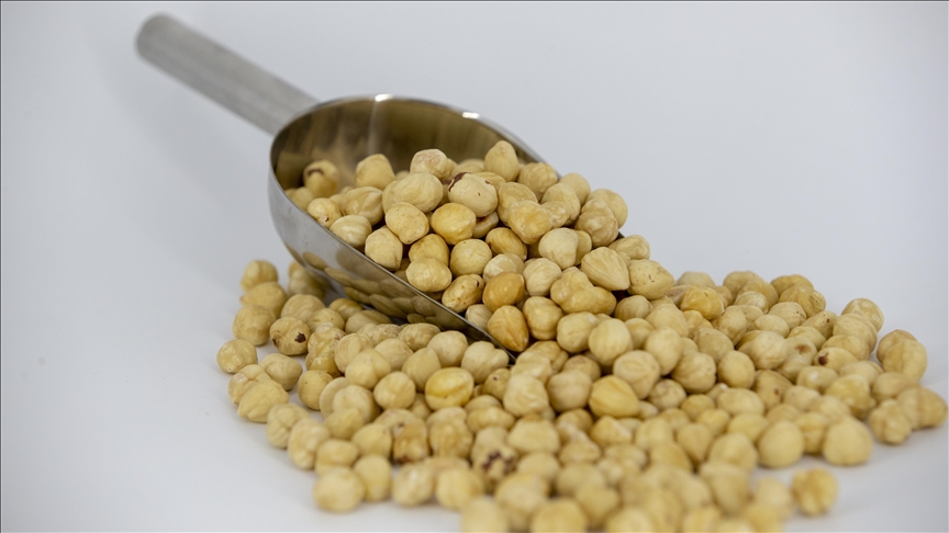 Ticaret borsalarında sezonun ilk 5 ayında 217 bin tonu aşkın fındık işlem gördü