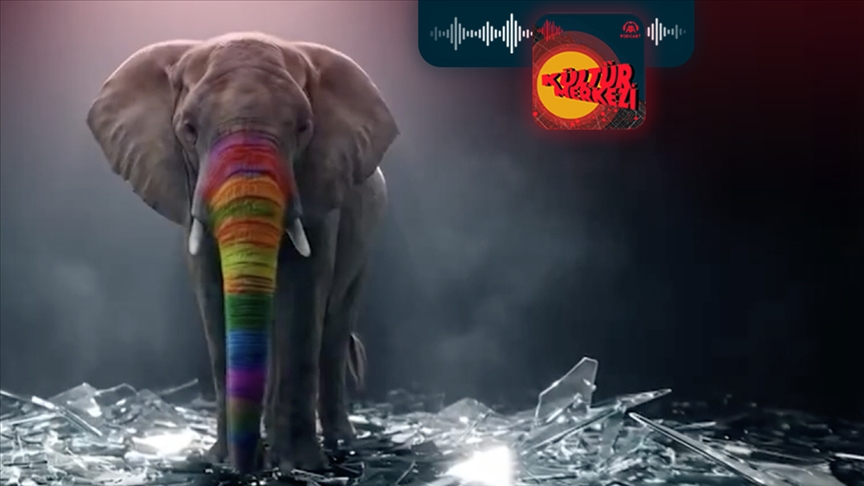 "Gökkuşağı Faşizmi" isimli belgesel hangi gerçeklere odaklanıyor?