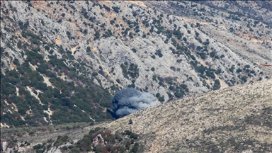 ليشتكيها بمجلس الأمن.. لبنان يوثق رش إسرائيل "موادا سامة" بالجنوب