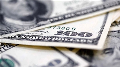 Reel efektif döviz kuru endeksi ocakta 102,17 oldu