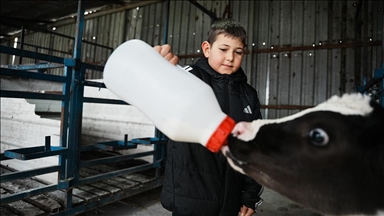 Çanakkale'de veteriner hekim yapay zeka destekli süt çiftliği kurdu