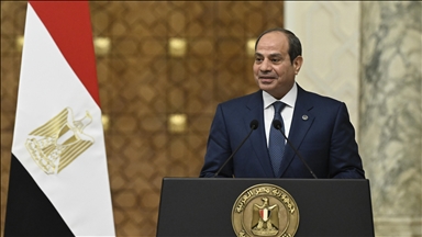 Egypt, Türkiye agree to boost trade, investment for mutual benefit, Egyptian president says