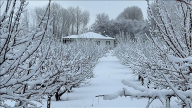 Doğu'da soğuk hava ve kar etkisini sürdürüyor