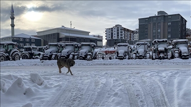 Doğu'da soğuk hava ve kar etkisini sürdürüyor