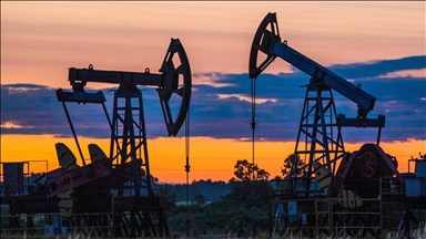 Нефтегазовые доходы России сократились вдвое 