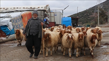 Depremlerde hayvanları telef olan yetiştirici devlet desteğiyle yeniden üretime geçti