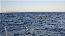 At least 14 dead after migrant boat collides with Greek Coast Guard vessel