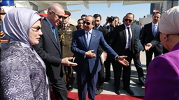 Cumhurbaşkanı Erdoğan Mısır'da