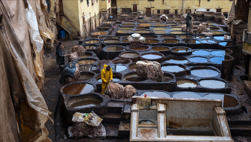Традиционалното производство на кожа продолжува во историските кожарници на отворено во Мароко