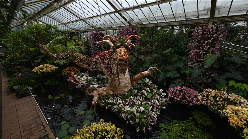  Подготовки во кралските ботанички градини „Кју“ за Фестивалот на орхидеи во Лондон