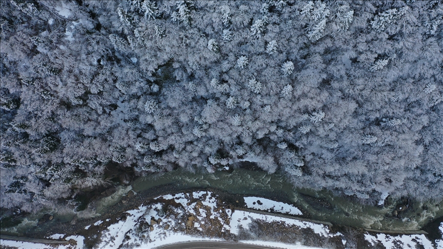 Çiyayên Kureyê yên bi berfê venixumandî ji asîmanan va hat kişandin
