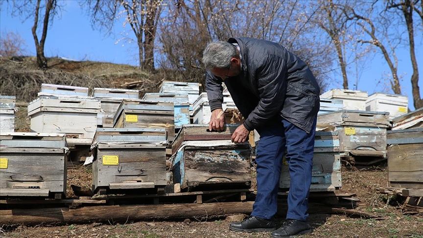 Diyarbakır'da depremzede üreticiler devlet desteğiyle hayvan sayısını artırdı