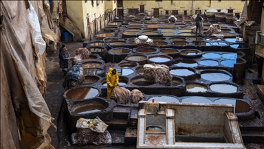 Традиционалното производство на кожа продолжува во историските кожарници на отворено во Мароко