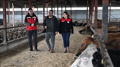 Depremzede besici, devlet desteğiyle hayvan sayısını katladı