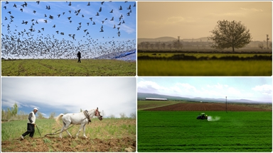 Deprem bölgesindeki kırsal kalkınma yatırımlarına 1,6 milyar lira harcandı