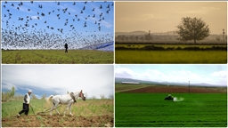 Deprem bölgesindeki kırsal kalkınma yatırımlarına 1,6 milyar lira harcandı