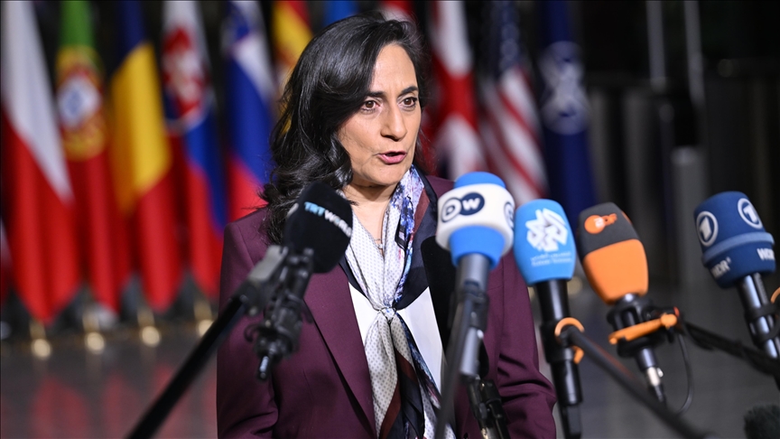 Canadian foreign minister calls for solidarity among Arctic nations against 'threats'