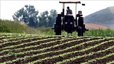 Çiftçilere bugün 94,3 milyon liralık tarımsal destekleme ödemesi yapılacak
