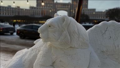 Мужчина из Астаны превращает очищаемый снег в произведения искусства