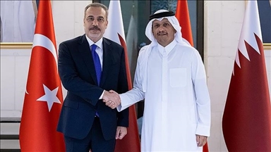 Turkish, Qatari foreign ministers discuss regional issues