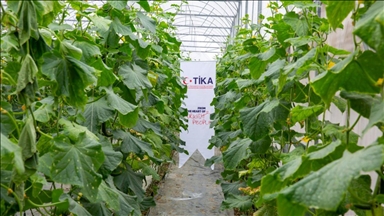 TİKA'dan Vietnam'da tayfundan etkilenen çiftçilere sera desteği