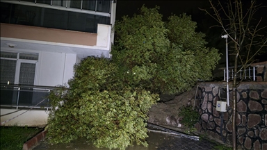 Manisa'da sağanak nedeniyle istinat duvarı yıkıldı