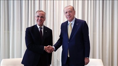 Türkiye is a 'vital partner' for Canada: Carney