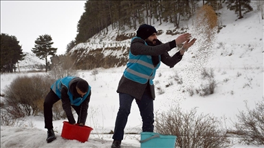İmamlar zorlu kış şartlarında yiyecek bulamayan yaban hayvanlarına yem taşıyor