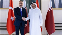 Главы МИД Турции и Катара обсудили ситуацию в регионе