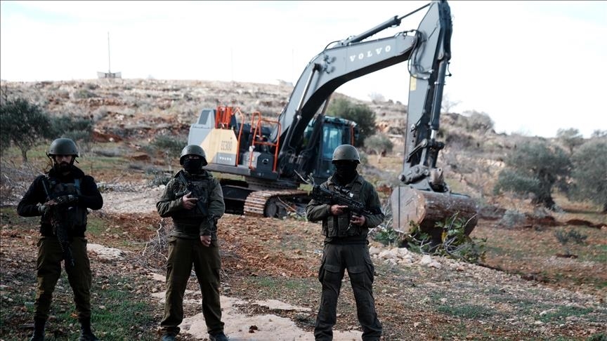 الضفة.. إسرائيل تقتلع 824 شجرة وتسرق 526 رأس ماشية بأسبوع