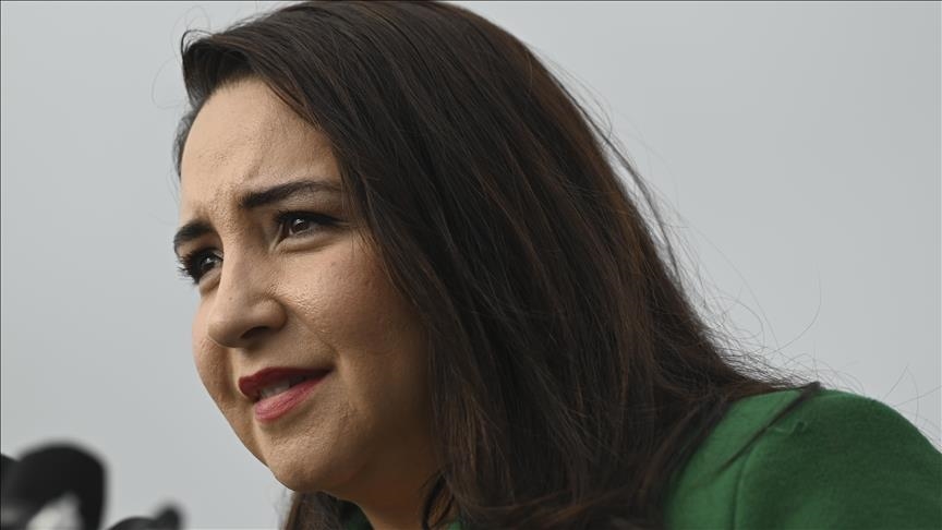 Американский политик призвал приостановить поставки оружия Израилю 