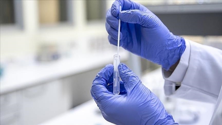 South Korea confirms 8th case of African swine fever in 2026