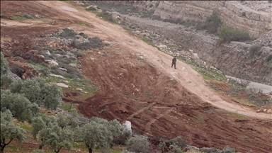 الضفة.. مستوطنون إسرائيليون يقطعون أشجار زيتون جنوب نابلس