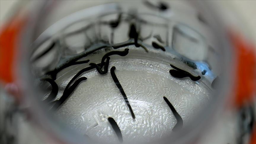 İstanbul Havalimanı'nda 90 bin tıbbi sülüğün ülkeye yasa dışı girişi engellendi