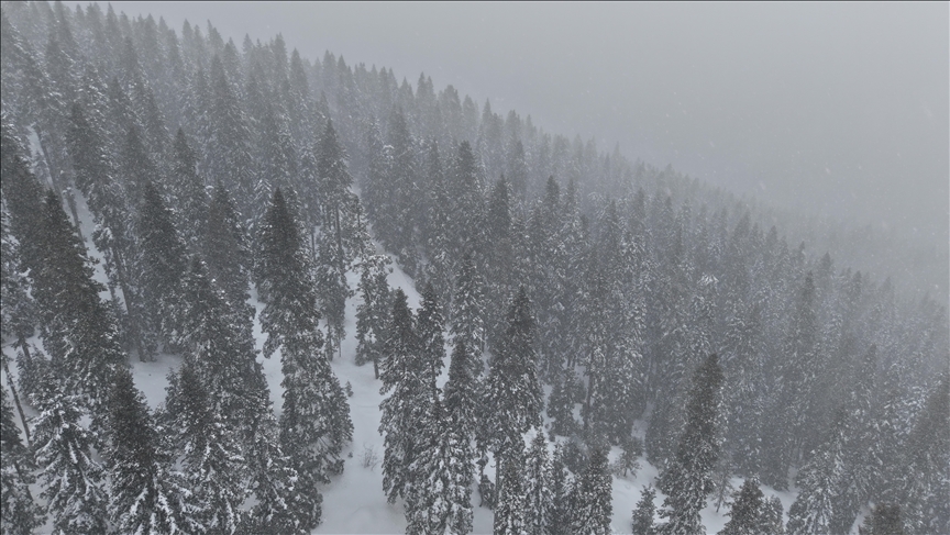 Kastamonu'nun yüksek kesimlerinde yoğun kar yağışı ve sis 