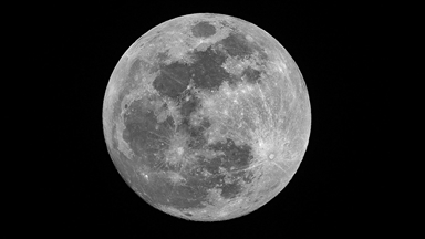 WSJ: Elon Musk'ın SpaceX şirketi, Ay yolculuğuna öncelik vermek için Mars görevini erteledi