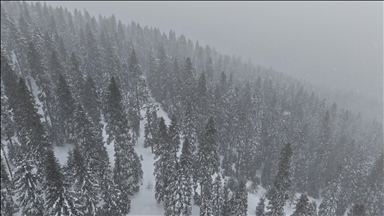 Kastamonu'nun yüksek kesimlerinde yoğun kar yağışı ve sis 