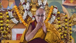 ‘Never met’: Dalai Lama denies links with Epstein
