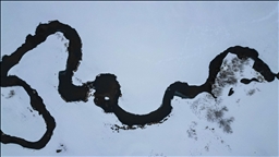 Li Erziromê sipehîtiya zivistanê ya fetlonekên di bin berfê da