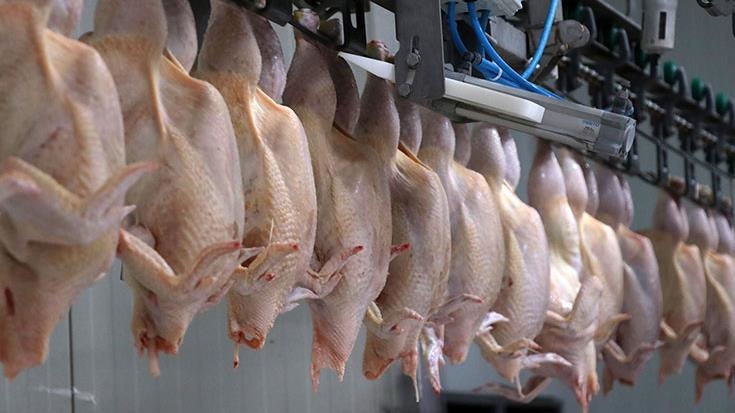Ticaret Bakanlığından, kanatlı eti ihracatının durdurulmasına ilişkin açıklama